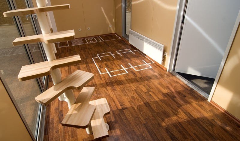 Drevené schody v obytnom kontajneri spájajú prízemie s druhým poschodím Kontajnerový byt-víkendový dom-kotnik-arhitekt