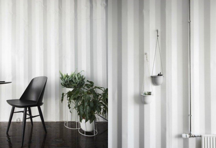 kontajner-byt-študenti-moderný-dizajn-biela-čierna-rastlina-boxjpg