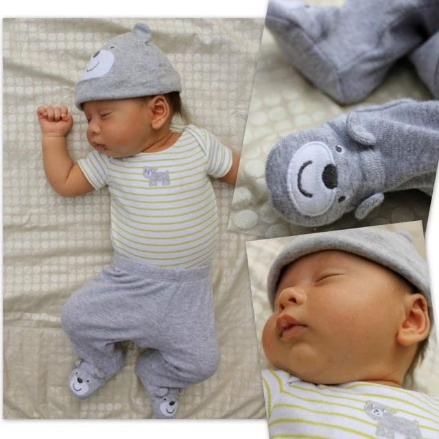 oblečenie chlapček nosí ponožky nohavice oblečenie-dieťa-chlapec-medveď-ponožky-nohavice