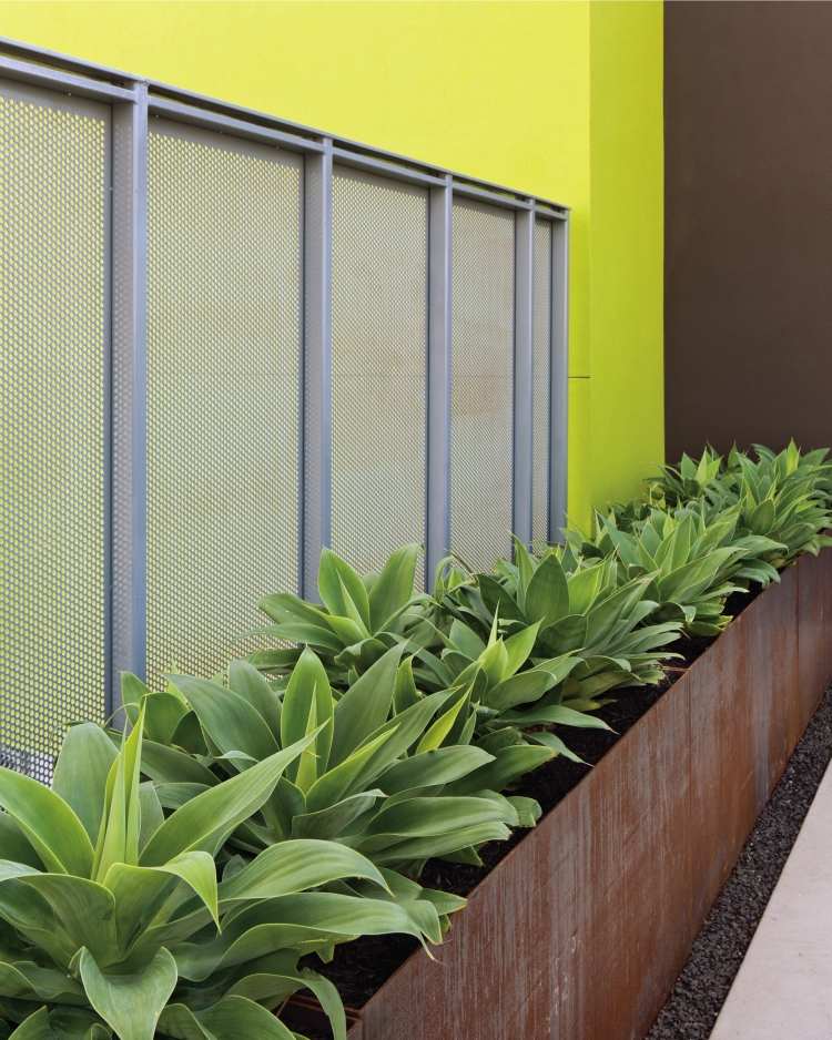 veľké kvetináče vyrobené z cortenovej ocele namiesto plotu alebo ako obrazovka na ochranu osobných údajov Corten oceľ-záhrada-agáve-kvetináč-kontajner-záhradné cesty-štrk-súkromná clona-kov