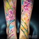 ЦВЕТНИ ТАТУИ # 737 - интересна версия на картината, която лесно може да се използва за прецизиране и нанасяне на цветен лъв като татуировка