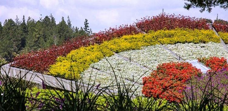 Strechu na rastliny môžete použiť, ak máte v záhrade málo miesta nápad na dizajn strešnej záhrady park starostlivosť o rastliny juan bedout