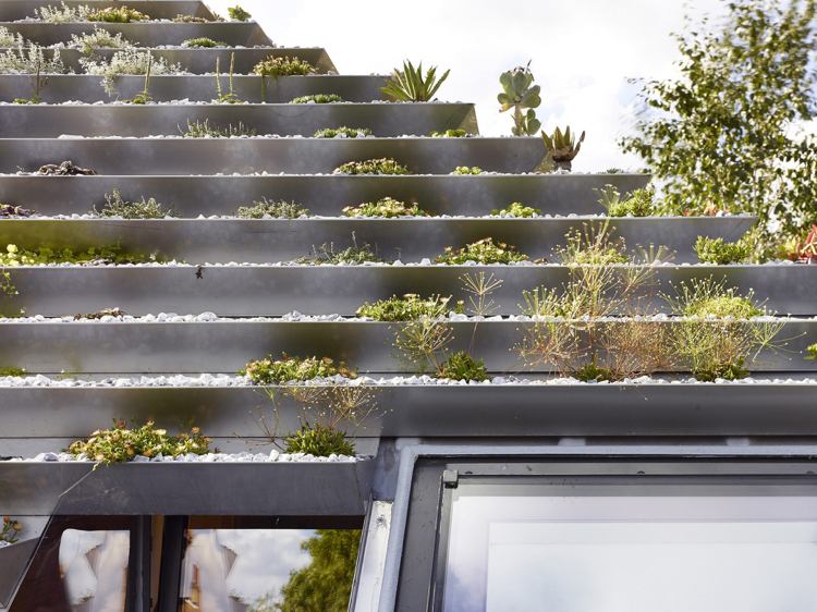 Strecha-záhrada-vytvoriť-strecha-ozelenenie-oceliarske záhony-rozchodník-sukulentný