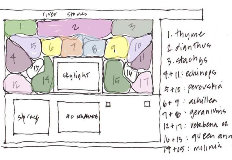 zelená strešná terasa dizajn výsadba plán strecha záhrada trávnik hardscape terénne úpravy odborná schéma plán