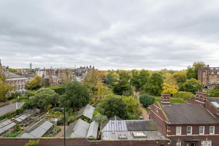 zelená strešná terasa dizajn výsadba plán strecha záhrada trávnik hardscape terénne úpravy pohľad