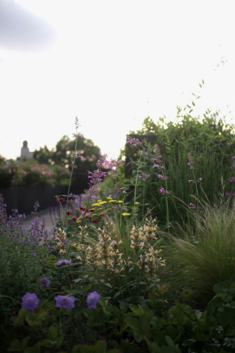 zelená strešná terasa dizajn výsadba plán strecha záhrada trávnik hardscape terénne úpravy expert kvety orgován
