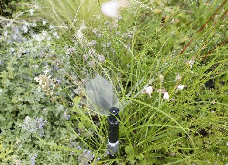 zelená strecha terasa dizajn výsadba plán strecha záhrada trávnik hardscape terénne úpravy údržba záhrady zavlažovanie