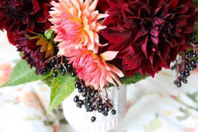 georgíny farby porcelánová váza bobule dekorácia stola