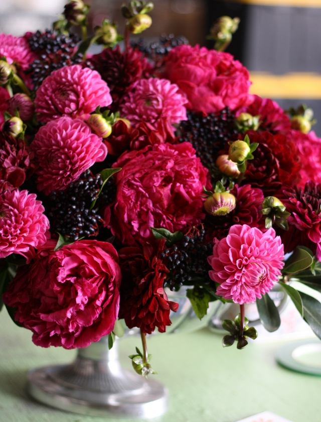 dahlias kytica bobule pivonky leto