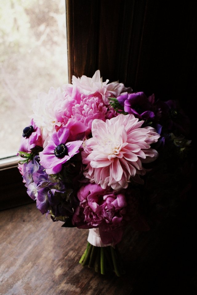 kytica kvetov letné georgíny jemná ružová farba purpurových hortenzií