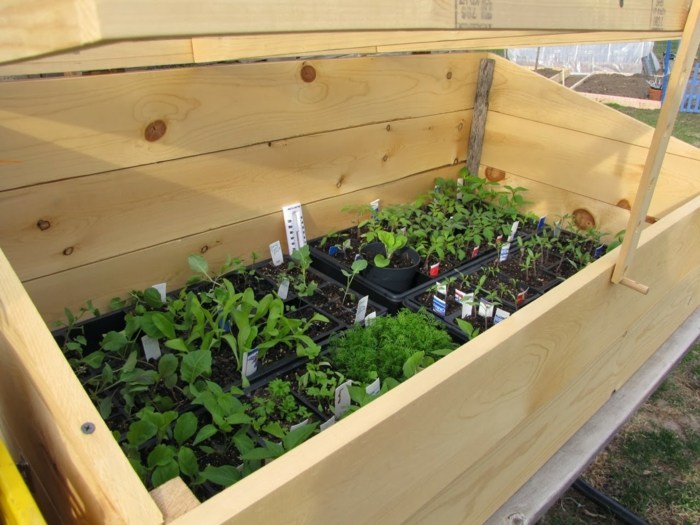 V studenom ráme by ste mali označiť rastliny, aby nedošlo k zámene drevo ovocná repa ovocná zelenina veko jarná záhrada vytvoriť