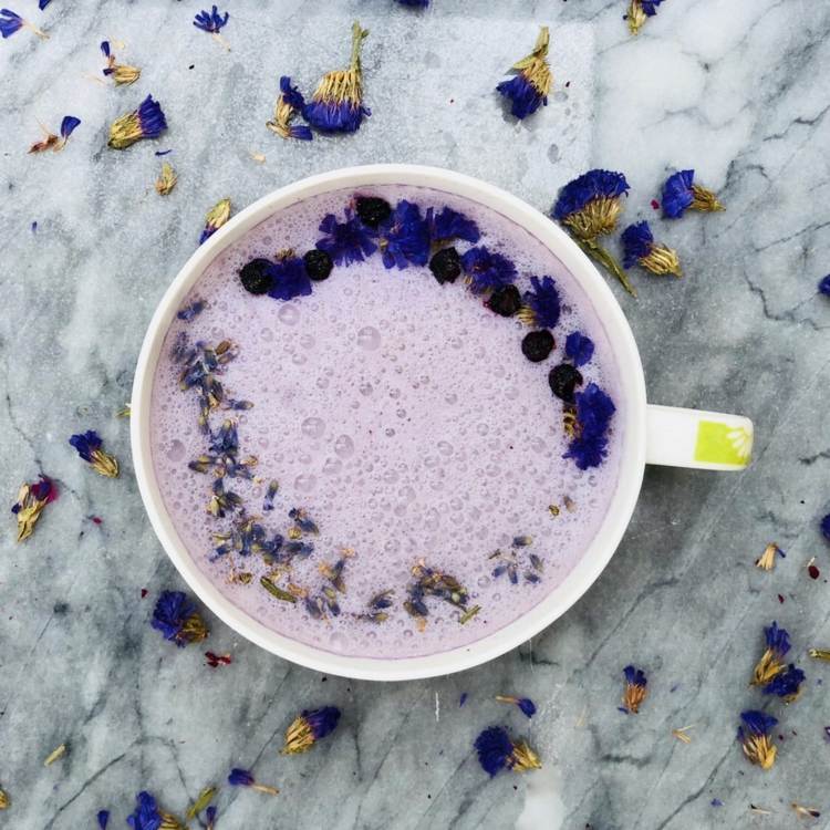 čučoriedky mesačné prísady do mlieka recept ashwagandha ghí