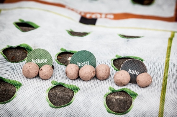 semená okolo mini záhradky nourishmat pre zdravú výživu