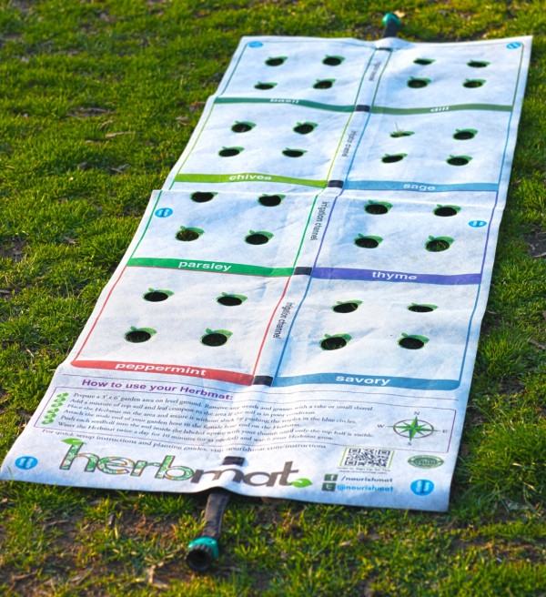 bez rastlín vyživujú malú záhradku pre zdravé potraviny