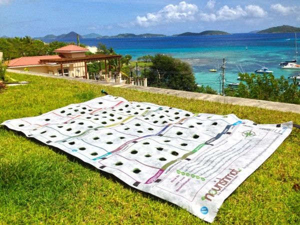 mini záhrada na výživu obdĺžnikového tvaru pre zdravé stravovanie