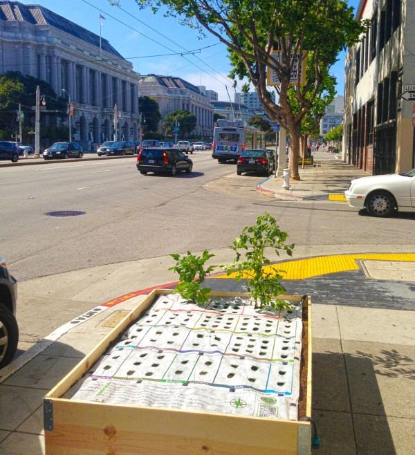 pouličná drevená debnička mini záhradka na výživu