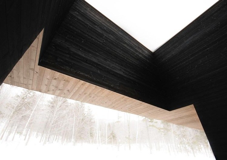 Fasádne zuhoľnatený a neošetrený kontrast dreva