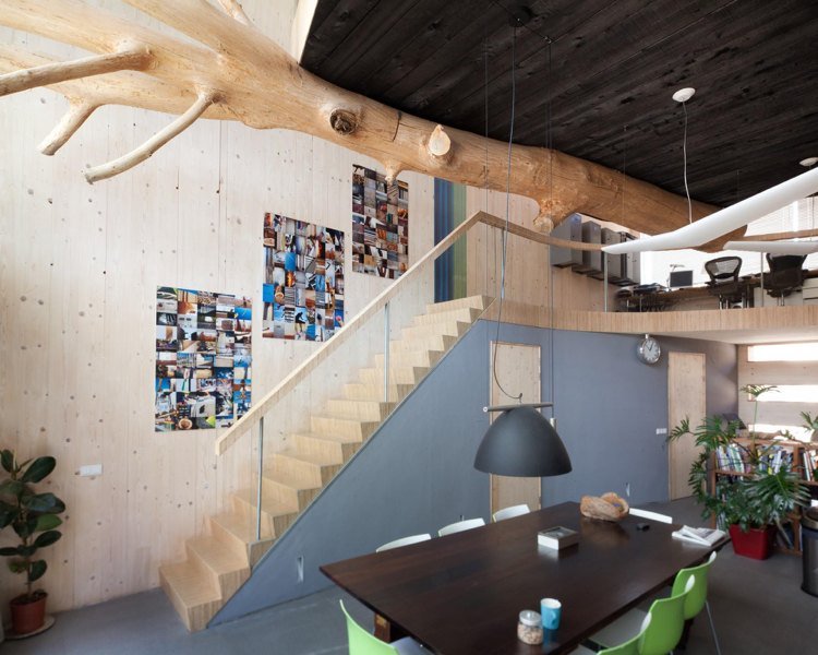 zuhoľnatený interiér dreva strop architektúra kmeňa stromu