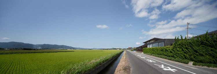 Živý plot na ochranu súkromných zelených polí