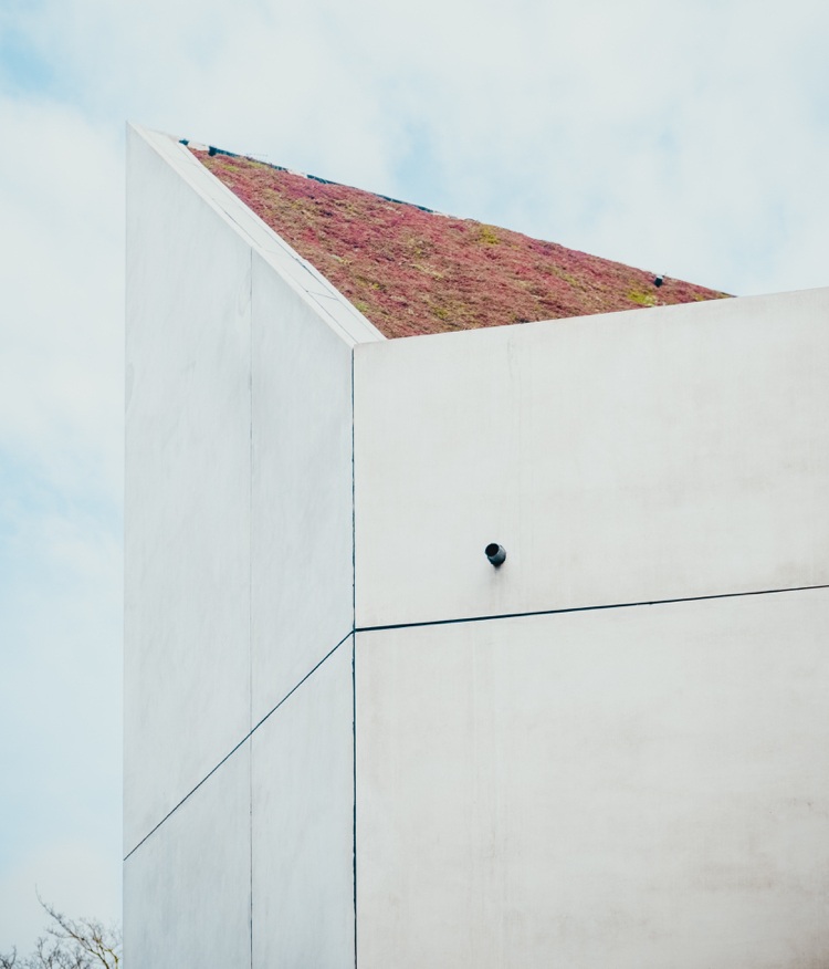 Rekonštrukčné práce a zelená strecha znižujú spotrebu energie v domácnosti