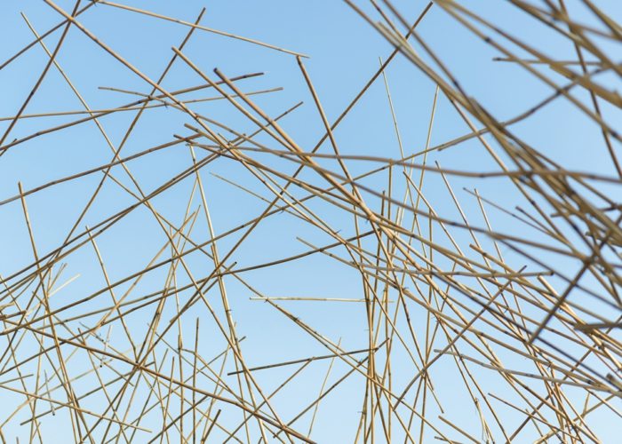 trstinová architektúra bar design yoshi príroda