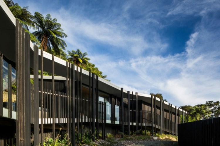 strop-vytvárajúci-dizajn-nápad-inšpirácia-dlaň-príroda-vlastnosť