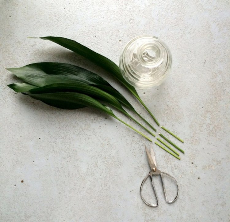 Skráťte stonky mäsiarskych palmových listov na ozdobu aranžovať dekoráciu zo zelených rastlín mäsiarska nožnica fľaša