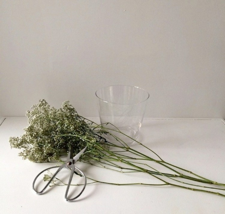 Gypsophila je veľmi vhodná aj ako ozdoba zo zelených rastlín kvety biela gypsophila dekorácia kutilstvo jar