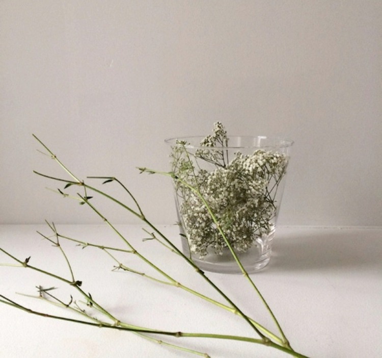 Dekoratívna váza je naplnená kvetmi pohár gypsophila kytice zelených rastlín