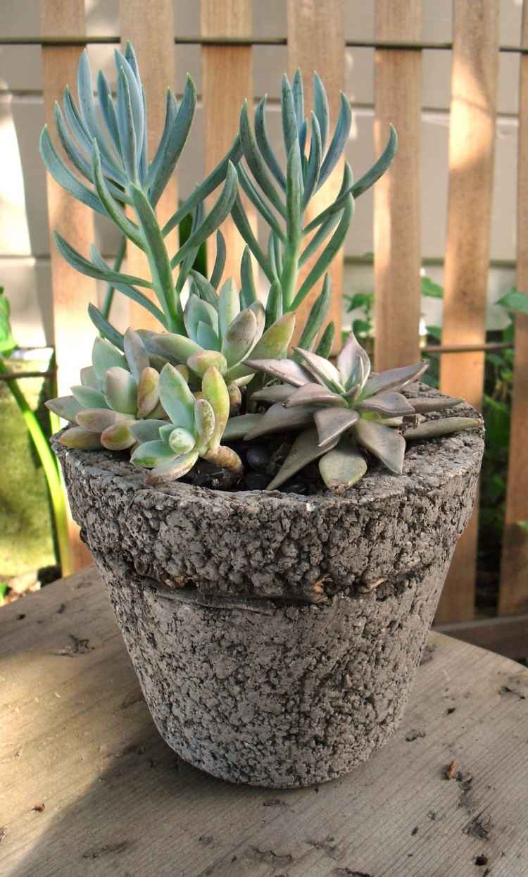 Deco-sukulenty-vnútri-vonku-kvetináč-urob si-sám-cement-betón