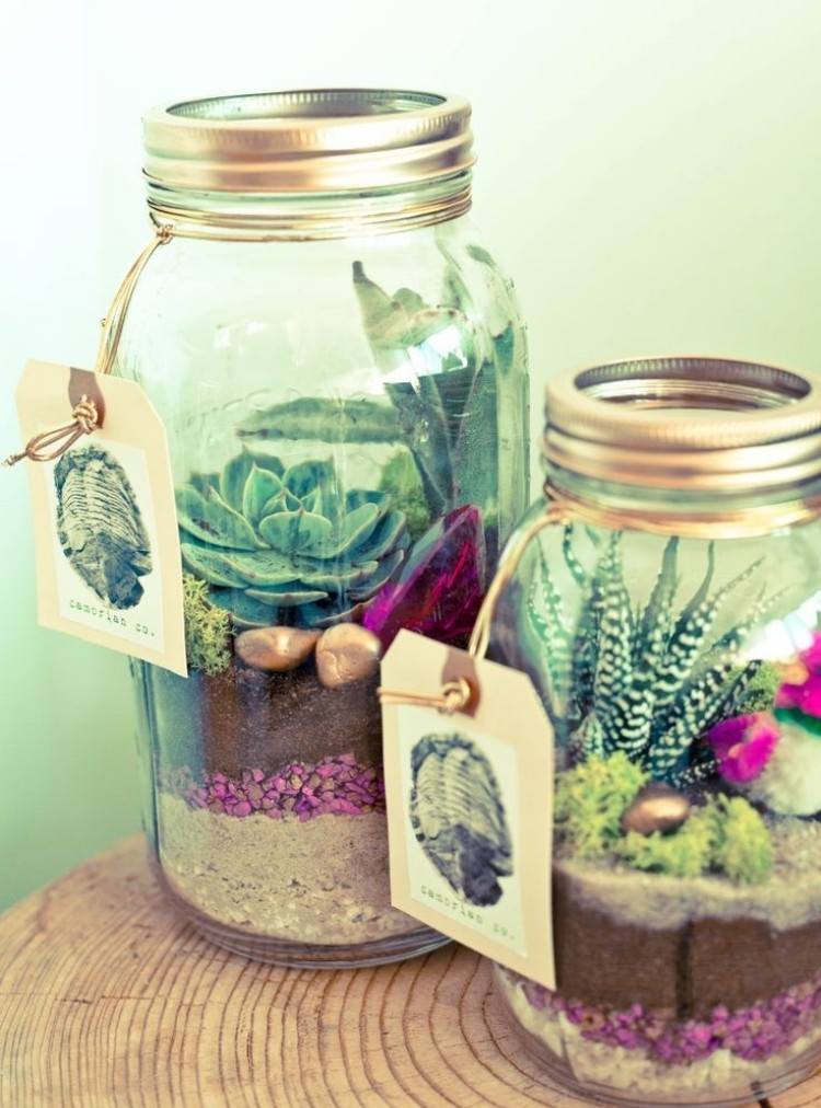 dekoračné sukulenty-vnútorné-vonkajšie-konzervujúce-poháre-sklenené-pieskové-farebné-zdobenie-aranžovanie