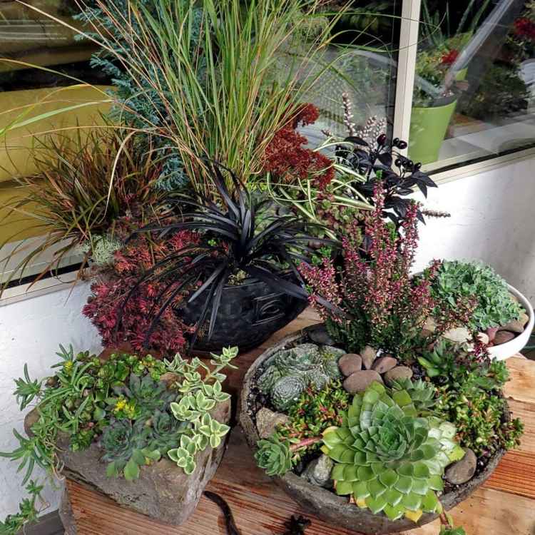 kvetináč nápad kamenná misa stôl drevená dekorácia zo sukulentov