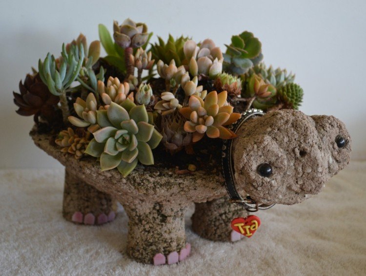 korytnačka figúrka misa na kvetináč zo sukulentov vlastnoručne vyrobených