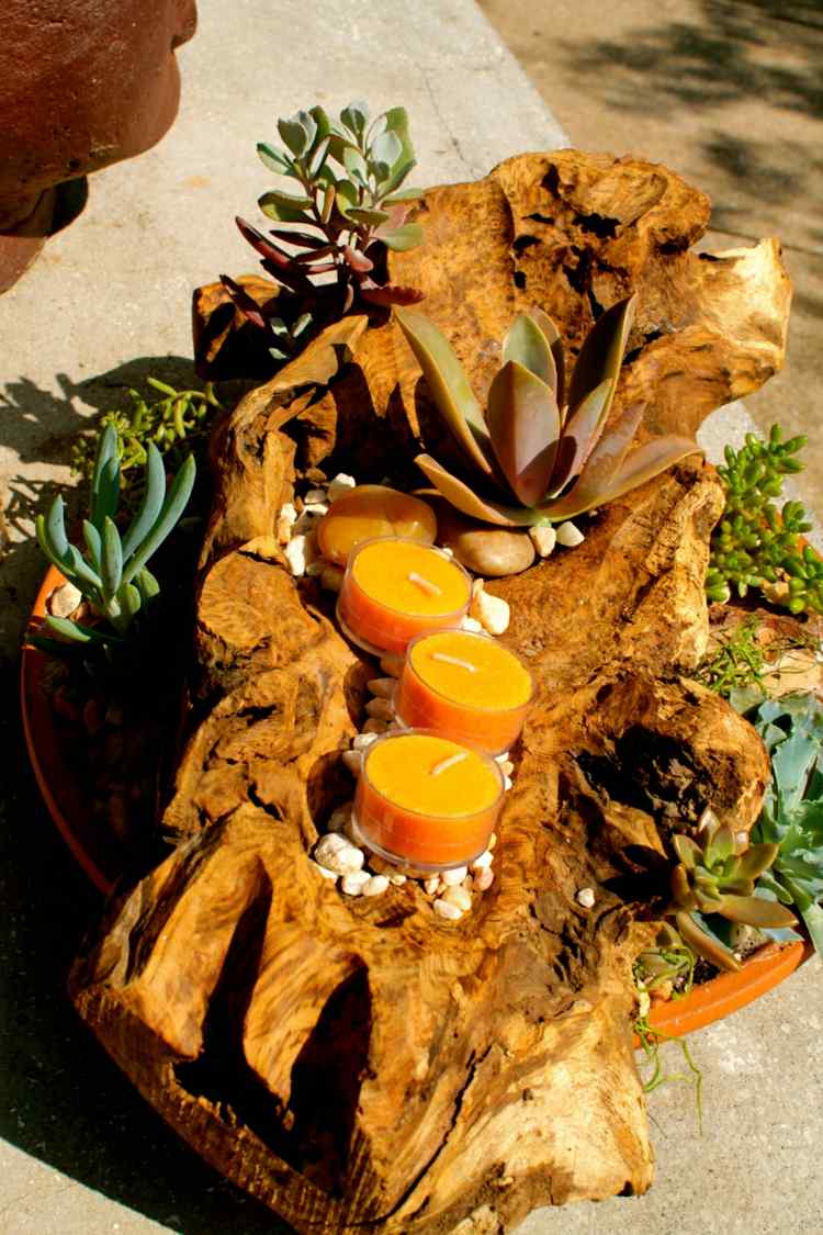 svietnik drevená kvetináčová dekorácia stola vyrobená zo sukulentov vlastnoručne vyrobených