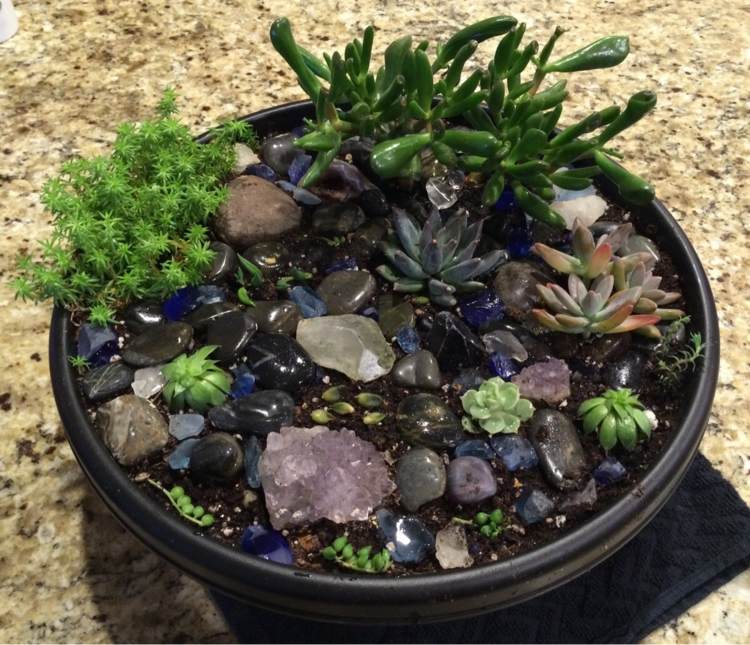 polodrahokamy tvar skleneného hrnca dekorácia interiéru sukulenty