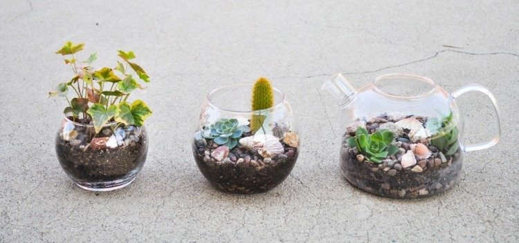 sklenená nádoba na džbán sukulenty dekorácia váza zem