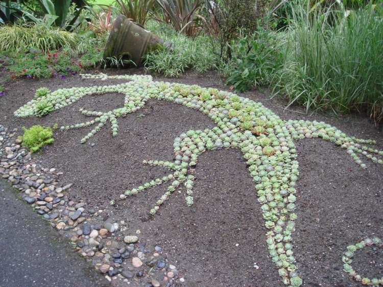 jašterica dekorácia sukulenty nápad kamienky graeser záhrada
