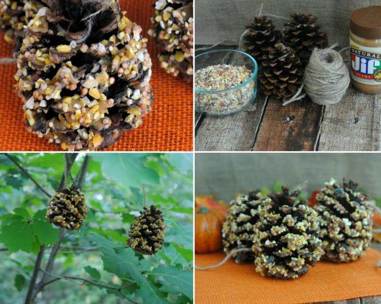 drotár jesenné vtáčie jedlo šišky záhradná dekorácia nápad jednoduché arašidové maslo