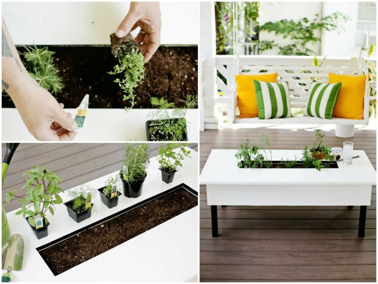 S takýmto remeselným nápadom máte na stole vždy čerstvé kvety a bylinky Dekorácia na terasu stôl-kvetináč-biela-bylinky-kvety-rastliny