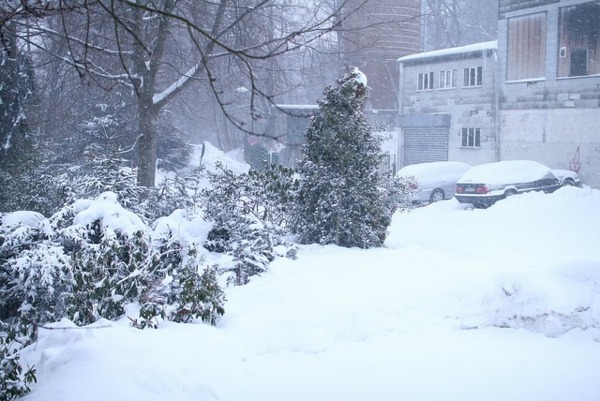 Snehová zimná dekorácia domu Vianočný čas Deco house Vianočný čas šišky