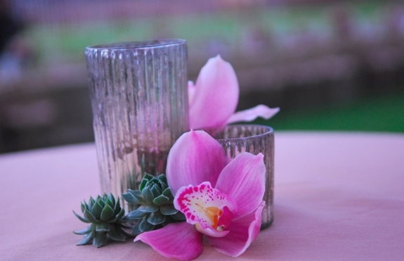 krásna kvetinová vôňa veľa druhov hybridných myšlienok