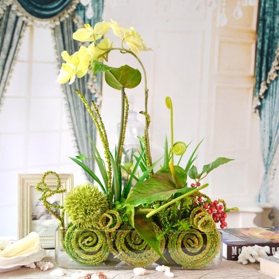 svieži motýľ floristická dekorácia krémová živá krásna