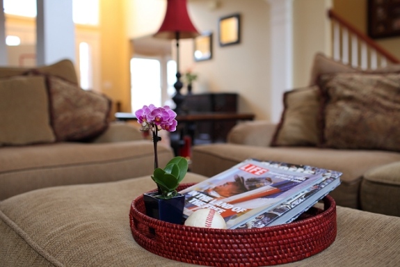 obývačka stredná malá orchidea kvety dekorácia béžová