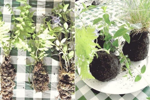 DIY závesné izbové rastliny - nápady Kokedama machová guľa