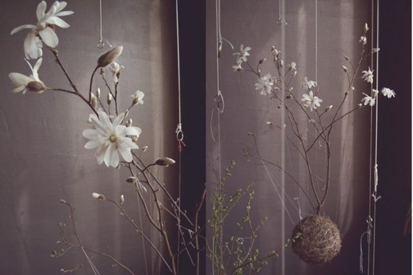 Nápady na bonsai, urobte si to sami