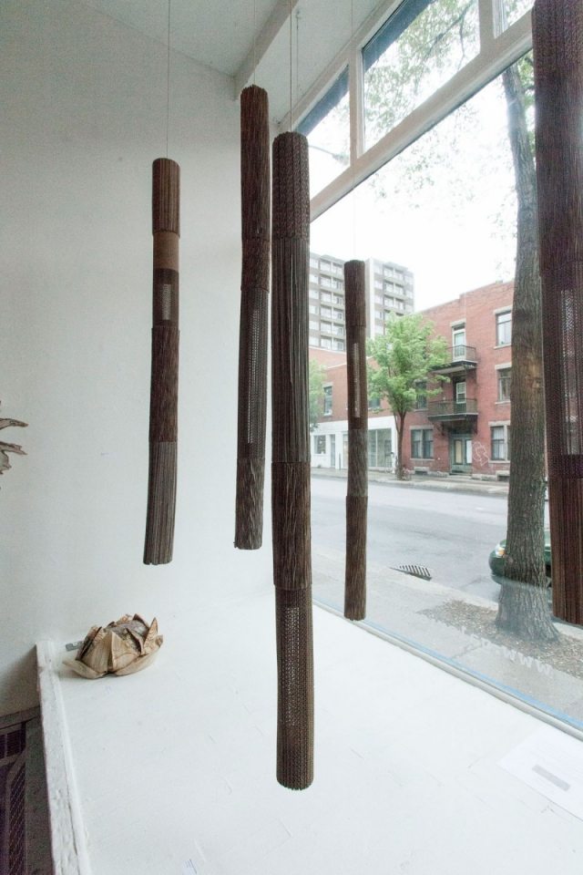 Závesné žiarovky zdobia, aby dodali nový zaujímavý nádych