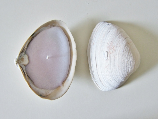 Dekorácia zo sviečok z mušlí na zriadenie kúpeľne