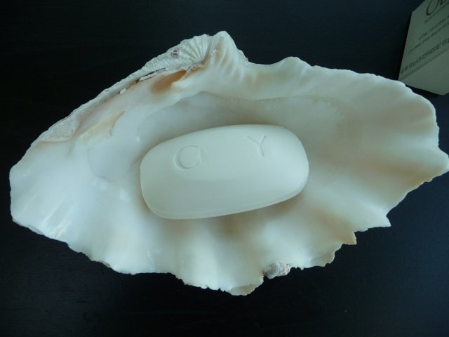 dekorácia z mušlí misa držiaka na mydlo