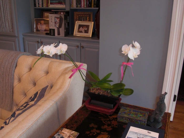 Inšpiratívna výzdoba orchideí so zenovými motívmi Dekorácia obývačky do šperkovnice v zenovom štýle