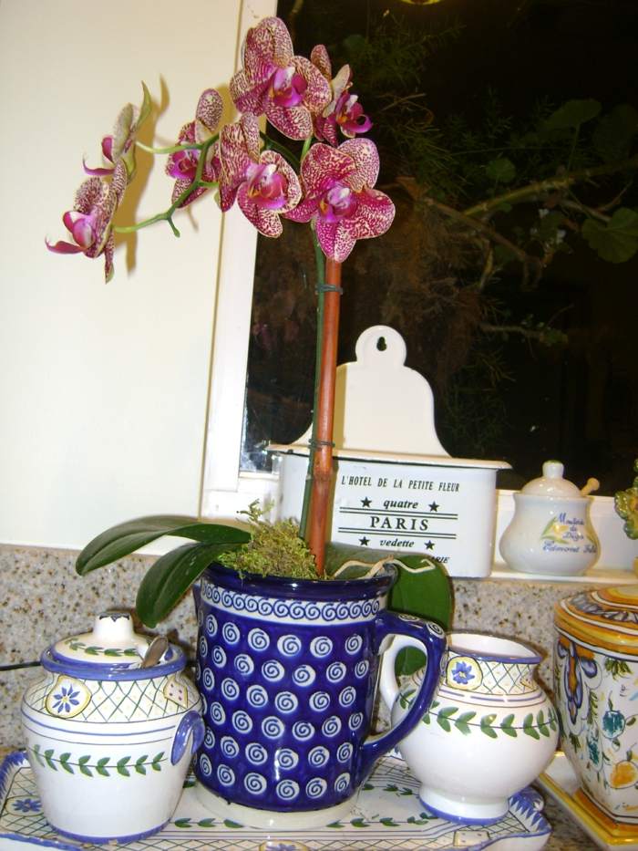 individuálne dizajnové kreácie doma a porcelán v kuchyni-dekorácia-modrý-porcelán